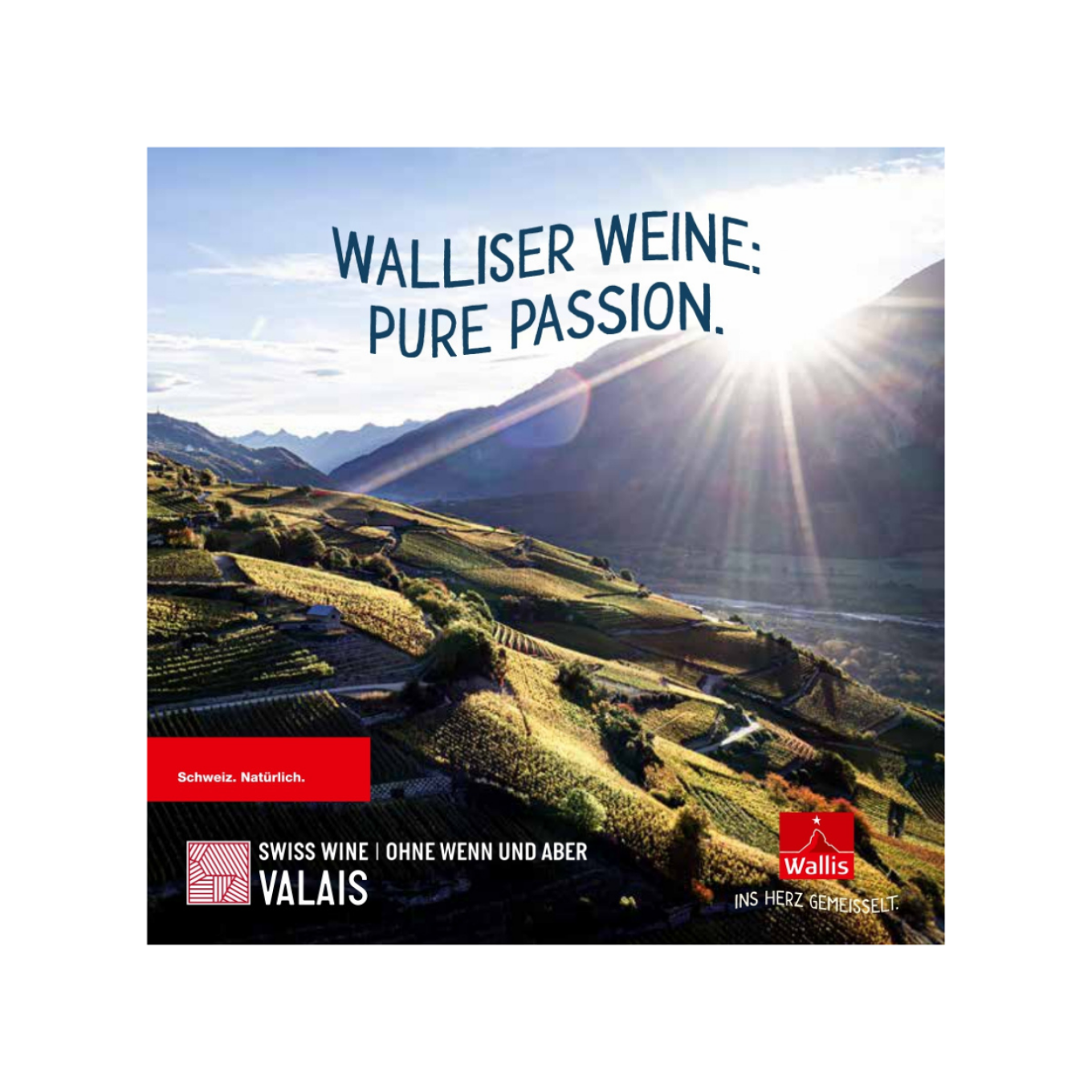 Image de Brochure Swiss Wine Valais